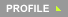 Company Profile